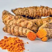 Turmeric Rhizome